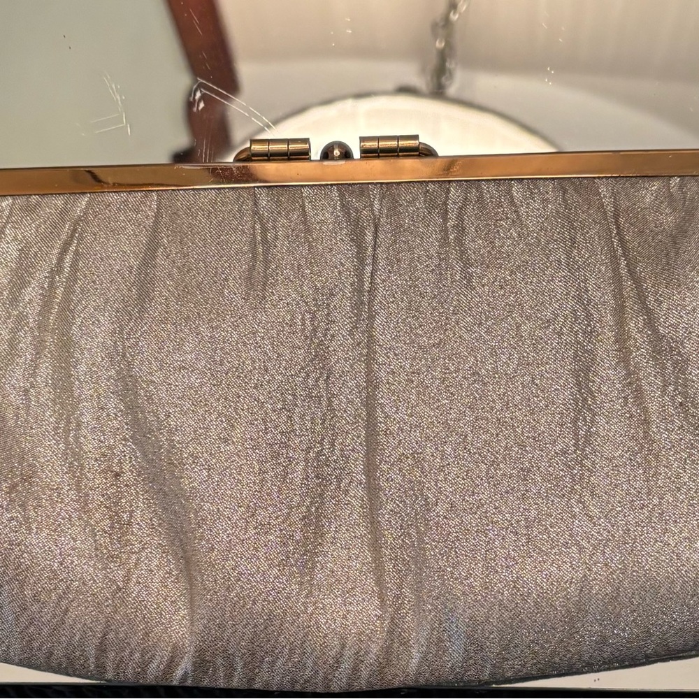 Elegant Silver Clutch Bag